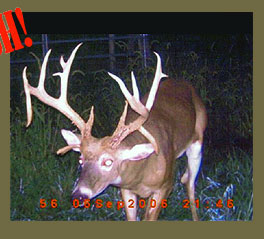 monster bucks